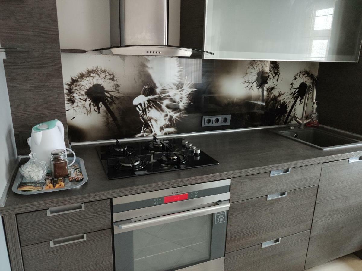 Nikoletos Apartamentai Panevėžys Esterno foto